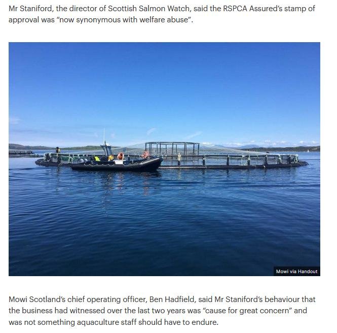 STV News 11 Oct 2021 #4