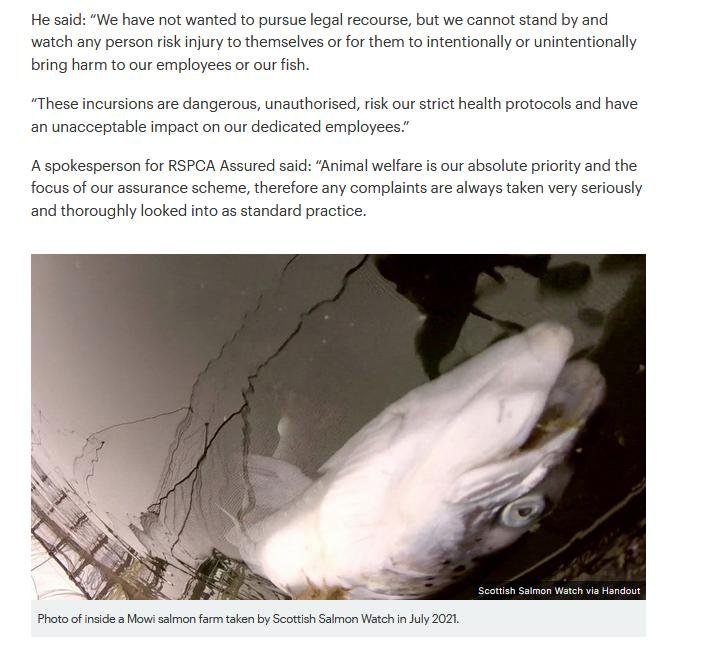 STV News 11 Oct 2021 #5