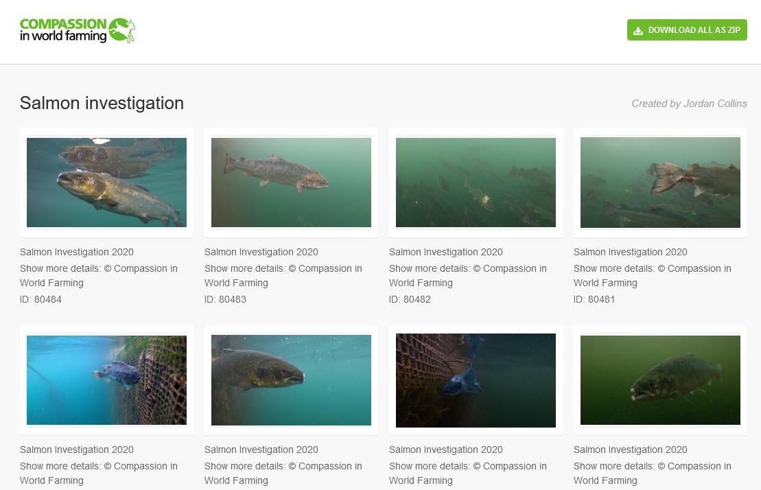 CIWF photos #1 CIWF photos #1