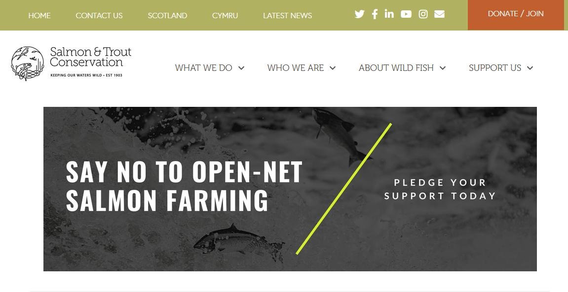 S&TC pledge Oct 2021 #1