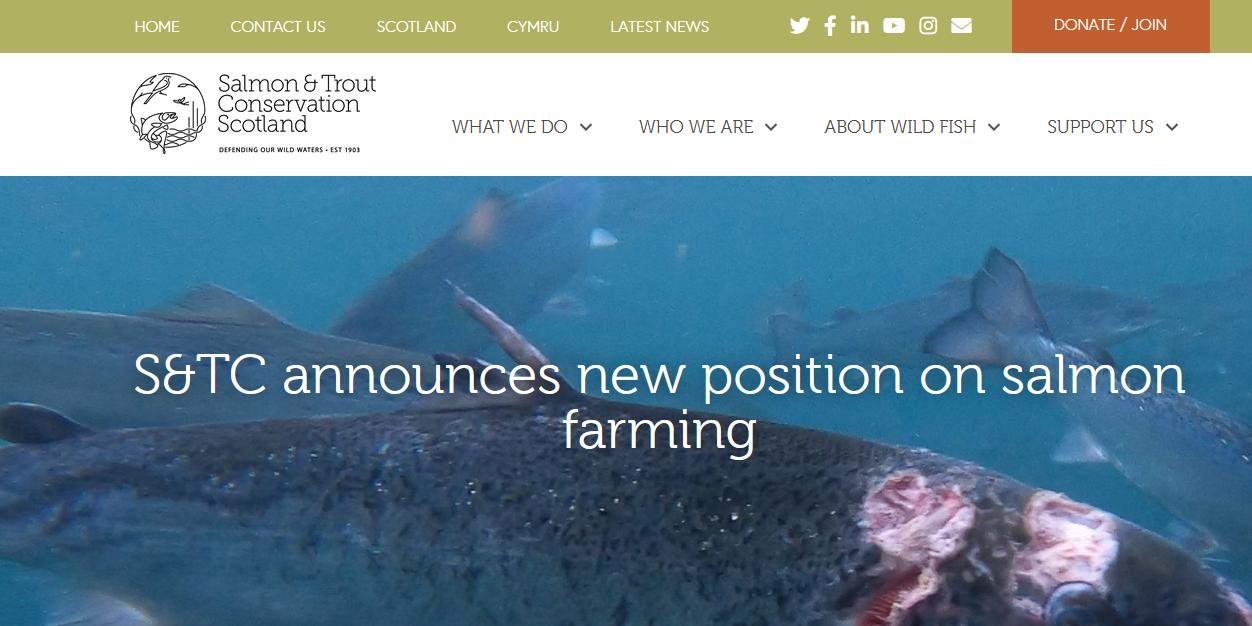 S&TC pledge Oct 2021 #3