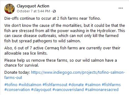 Clayoquot die off video 7 Oct 2021 #1