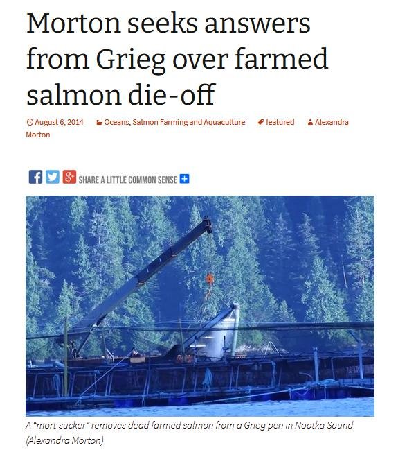 Clayoquot die off video 7 Oct 2021 #4