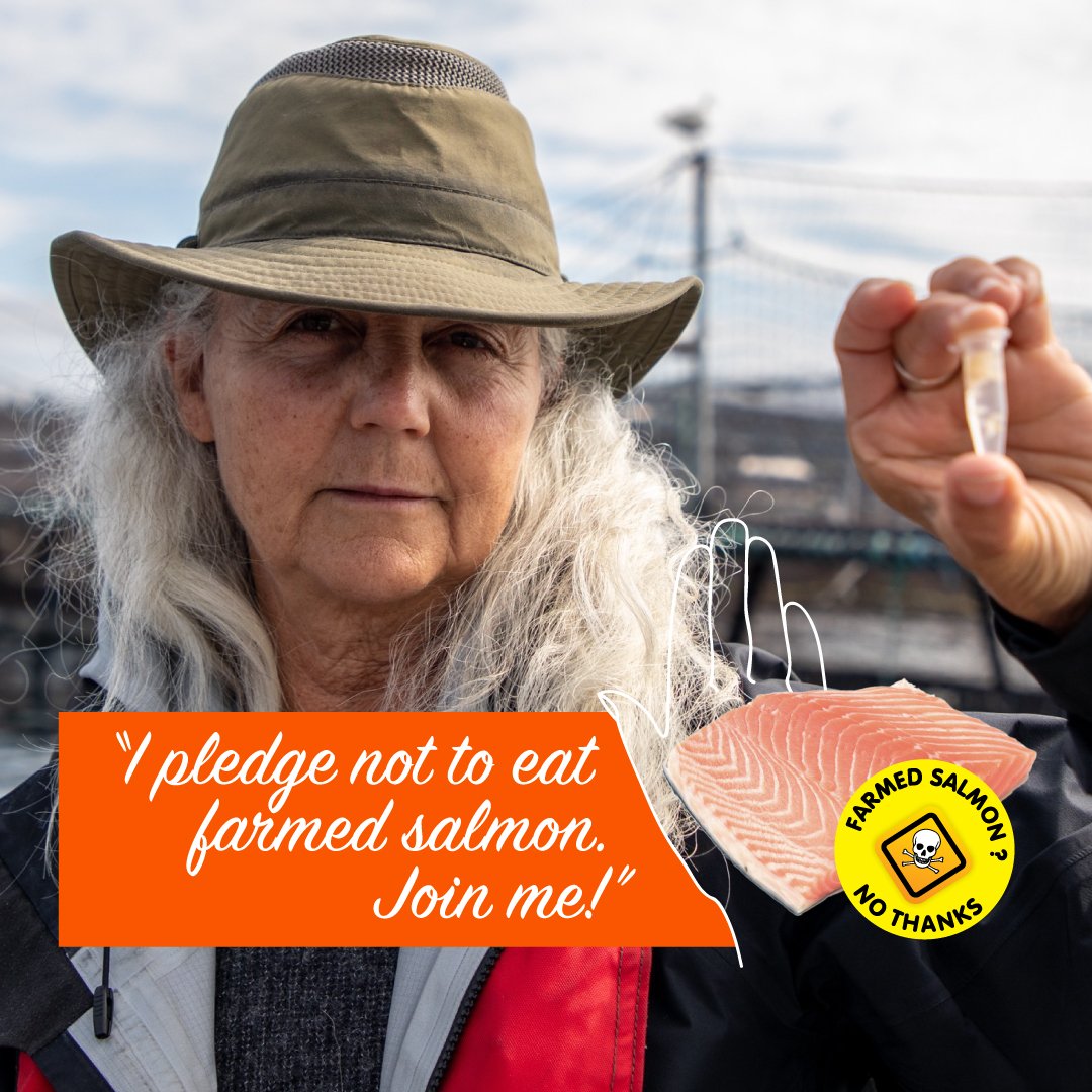 Pledge #1 Alexandra Morton scientist version