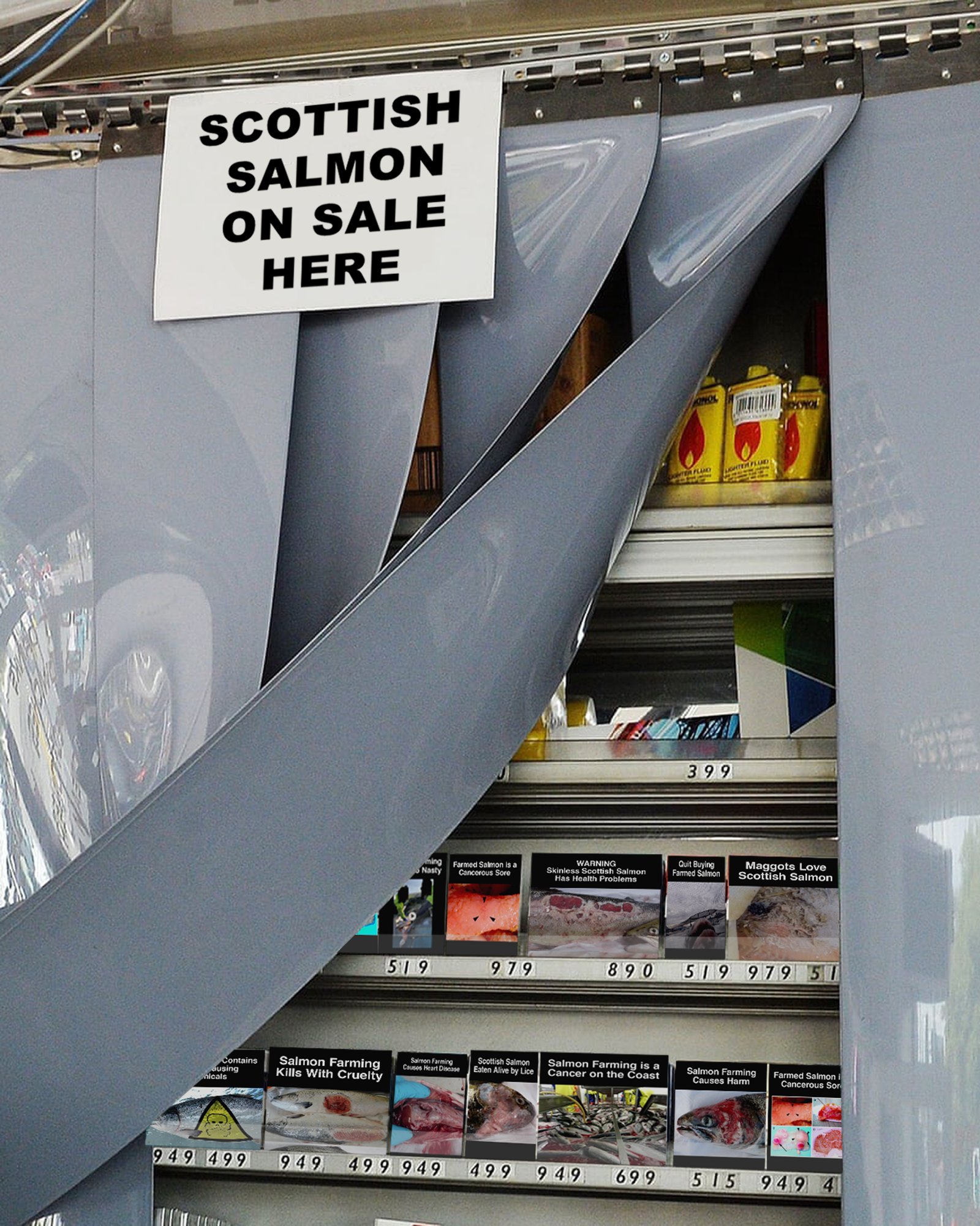 Gallery #2 curtain Scottish salmon sold here