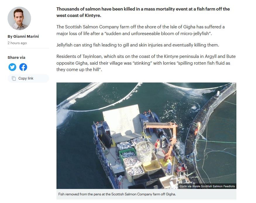 Gigha STV News 20 Oct 2021 #2