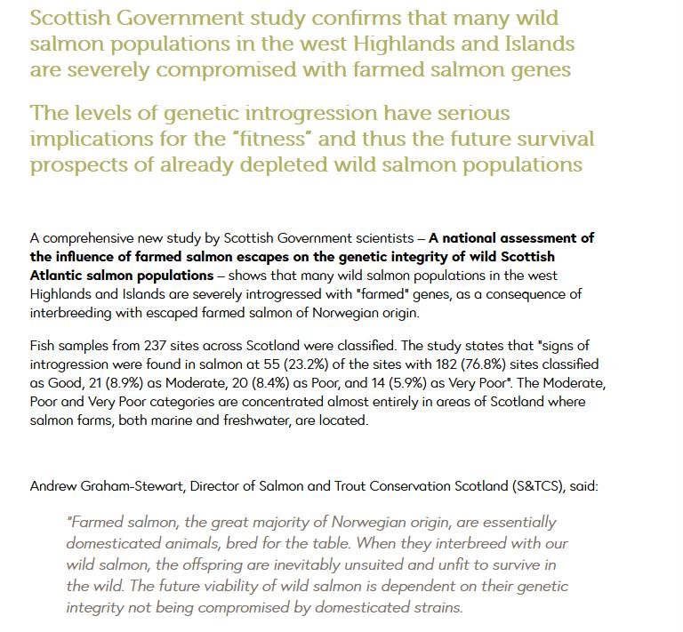 S&TC Escapes #2 S&TC Escapes #2