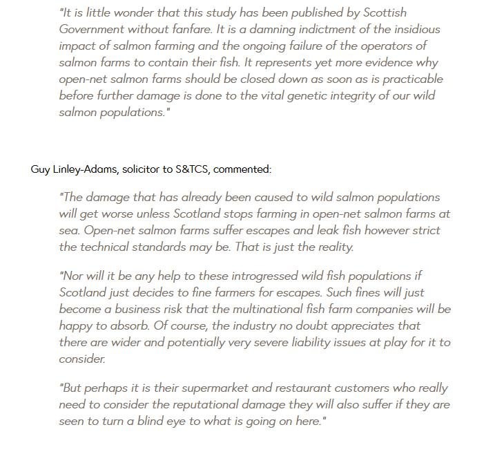 S&TC Escapes #3 S&TC Escapes #3