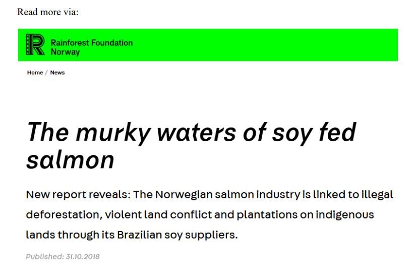 COP26 blog Nov 2021 #13