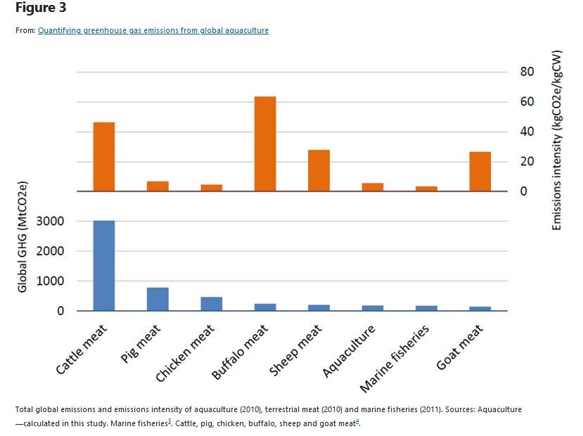 COP26 blog Nov 2021 #19