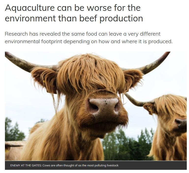 COP26 blog Nov 2021 #24