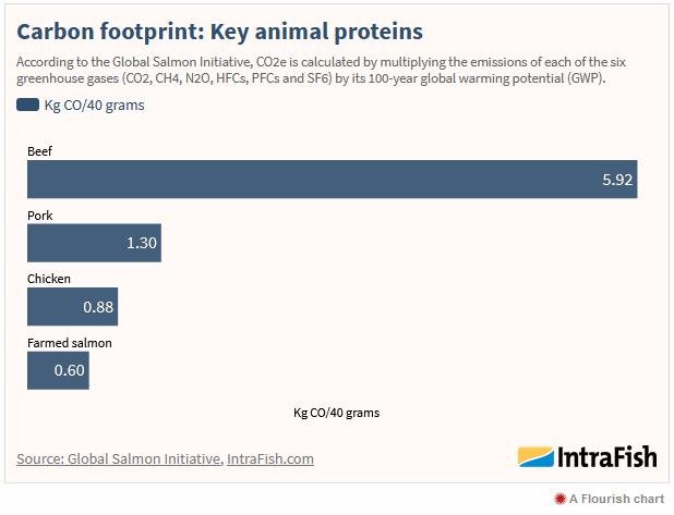COP26 blog Nov 2021 #31