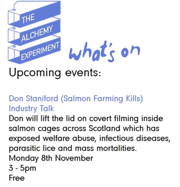 Alchemy Experiment 8 Nov 2021 #1