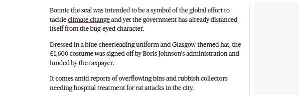 Bonnie blog Nov 2021 #5