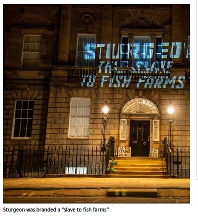 Ocean Rebellion Nov 2021 blog #7 Sun Ocean Rebellion Nov 2021 blog #7 Sun