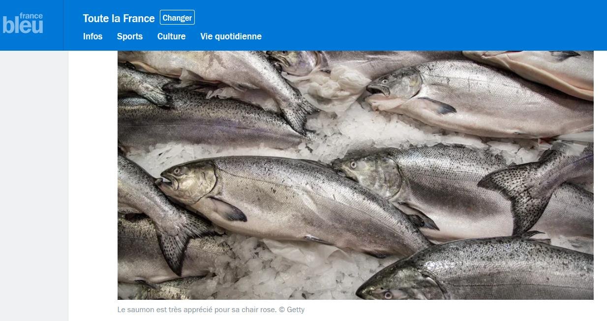 French TV preview #9