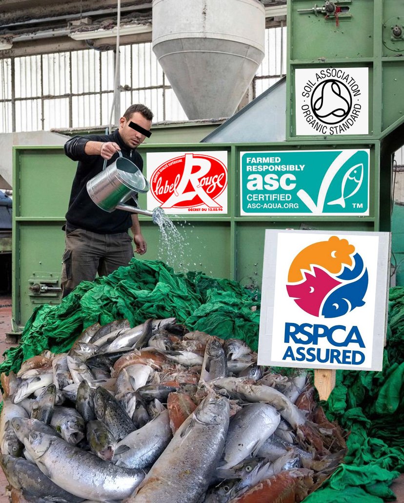 Greenwash graphic #5 Greenwash graphic #5