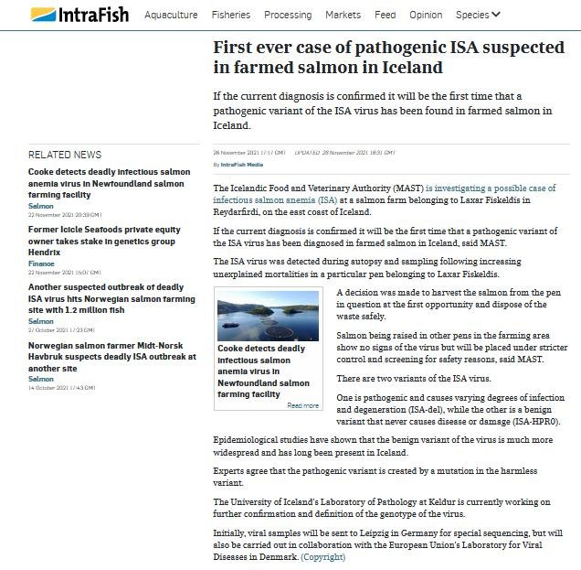 Iceland ISA #2 Iceland ISA #2