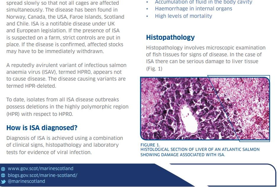 ISA Topic Sheet 2016 #2 ISA Topic Sheet 2016 #2