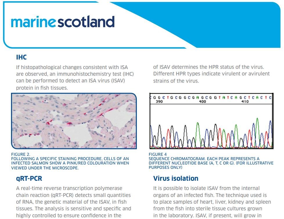 ISA Topic Sheet 2016 #3 ISA Topic Sheet 2016 #3