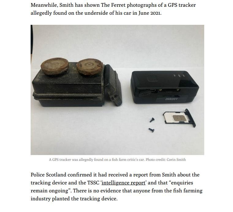 Ferret 27 Nov 2021 Ferret 27 Nov 2021