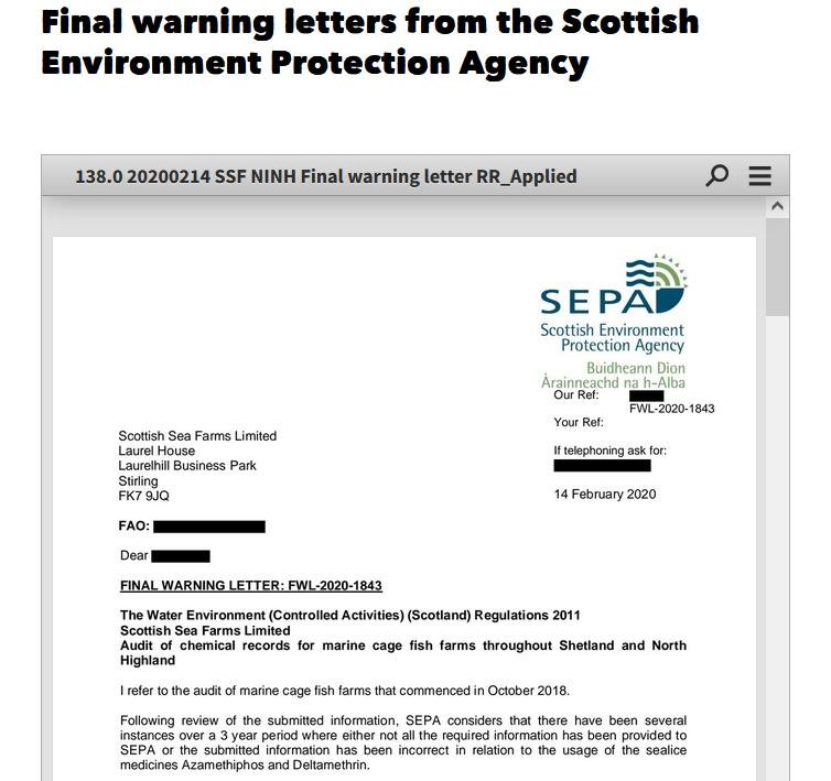 Ferret 5 Dec 2021 #2 Ferret 5 Dec 2021 #2