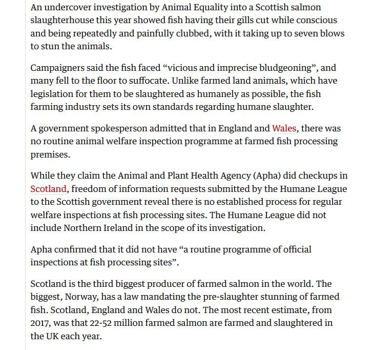 Slaughter rules 6 Dec 2021 blog #1 Slaughter rules 6 Dec 2021 blog #1