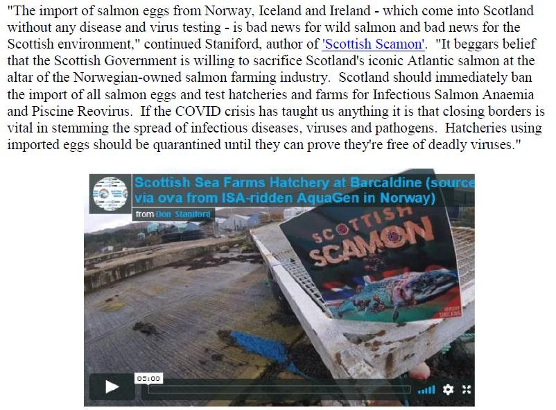 PR Norwegian Salmon Ova Slip Back Into Scotland 25 August 2020 #5