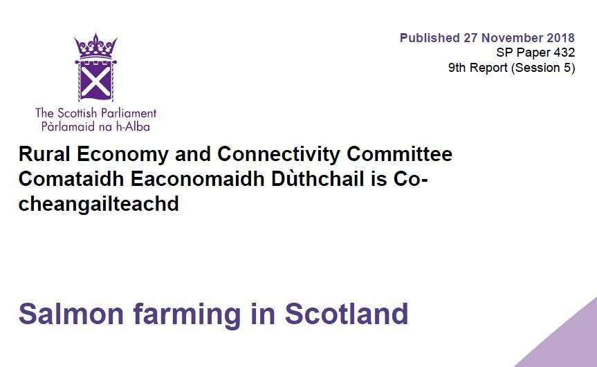 RECC recommendation Nov 2018 fines #1 RECC recommendation Nov 2018 fines #1