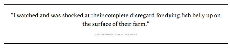 Ferret 24 Sept 2020 #3