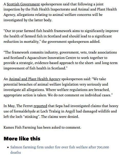 Ferret 24 Sept 2020 #5