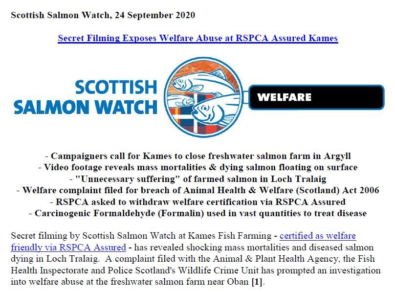 PR Welfare Abuse at Kames 24 September 2020 #1