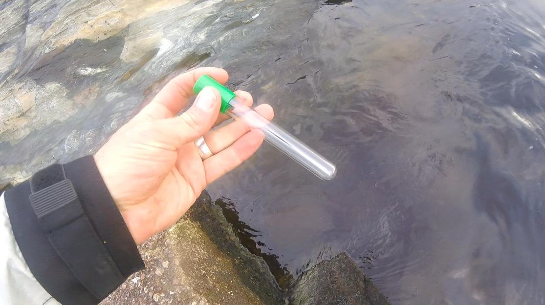 Effluent #5 test tube Effluent #5 test tube