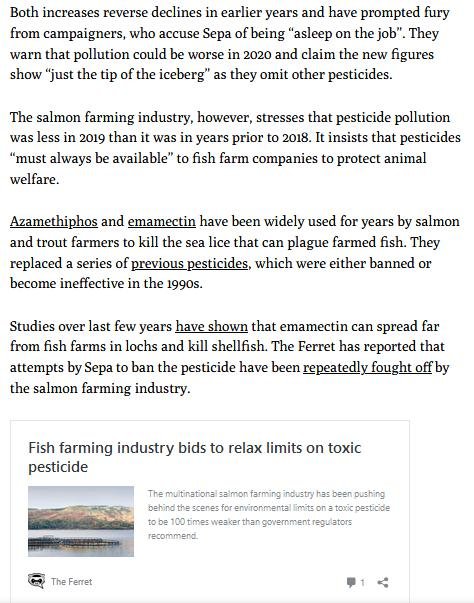 Ferret 7 Oct 2020 #3