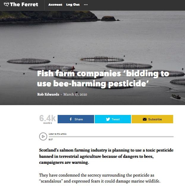 Ferret 17 March 2020