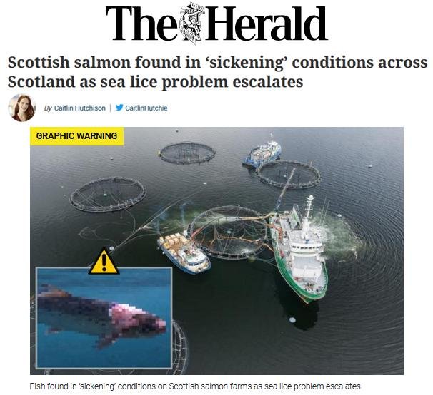 Herald 31 Oct 2020 #1 Herald 31 Oct 2020 #1