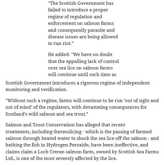 Herald 31 Oct 2020 #6 Herald 31 Oct 2020 #6