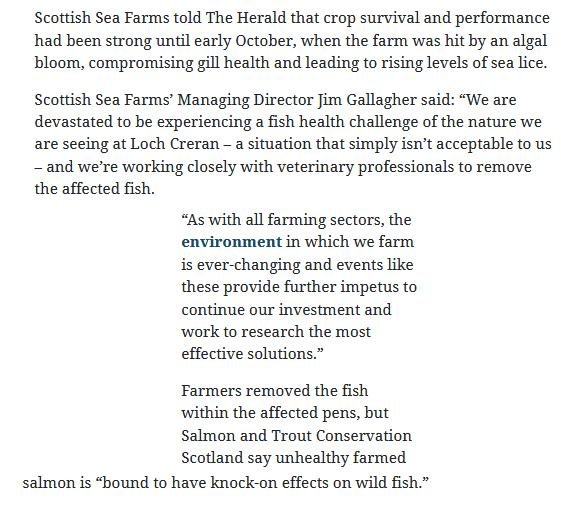 Herald 31 Oct 2020 #9 Herald 31 Oct 2020 #9