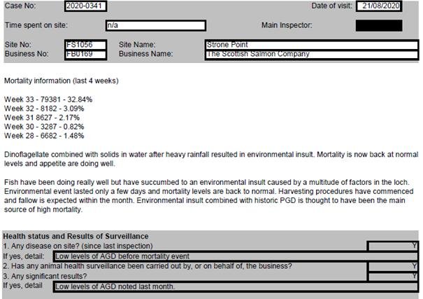 FHI Aug 2020 #9 Strone FHI Aug 2020 #9 Strone