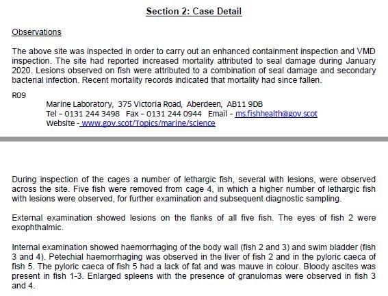 Kyles Vuia Feb 2020 #5