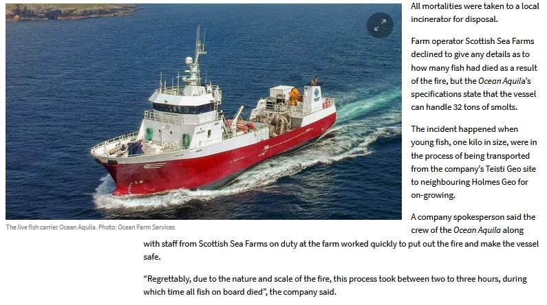 Shetland News on wellboat fire 4 Nov 2020 #2