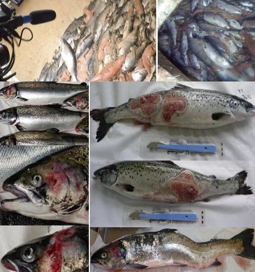 42 blog Tweet photo 42 million #2 20