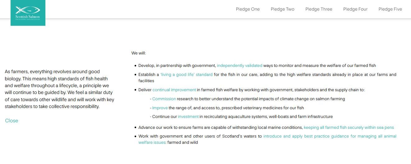 Pledge Nov 2020 #6 animal welfare more