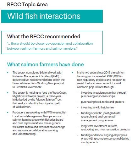 RECC 18 Nov 2020 #13