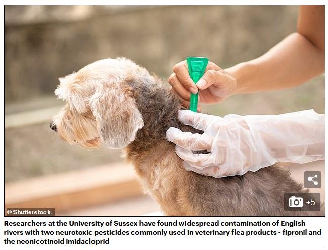 Imidacloprid Pets Nov 2020 #6