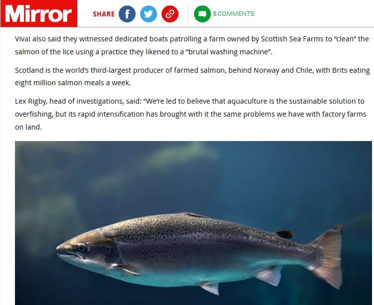 Mirror 22 Nov 2020 #4