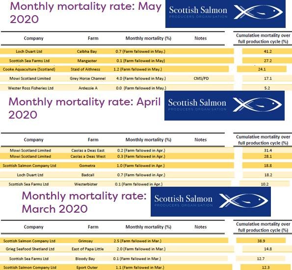 SSPO mort #5 May April March 2020 SSPO mort #5 May April March 2020