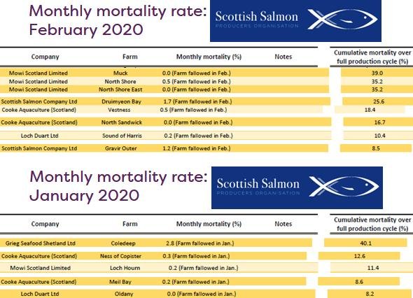 SSPO mort #6 Feb Jan 2020 SSPO mort #6 Feb Jan 2020