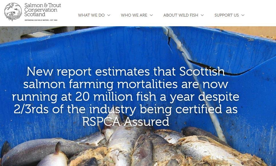 RSPCA STCS report 2017 #1