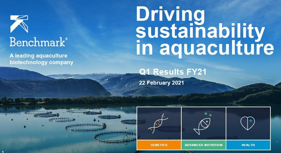 Benchmark Q1 2021 #2